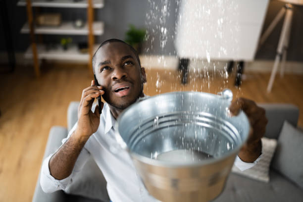 Best Basement water damage restoration  in Federal Heights, CO