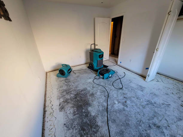 Best Flood damage cleanup  in Federal Heights, CO