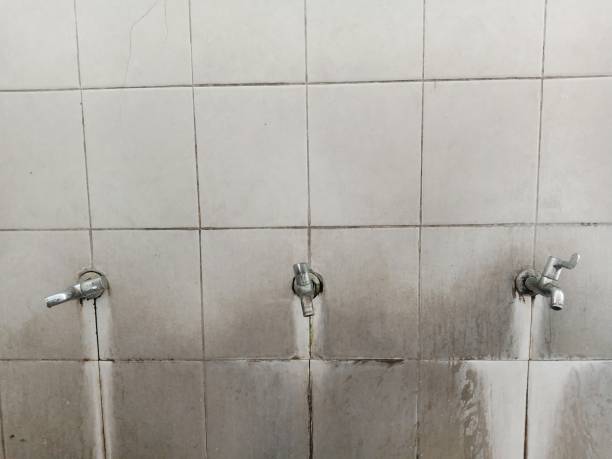 Best 24/7 water damage repair  in Federal Heights, CO