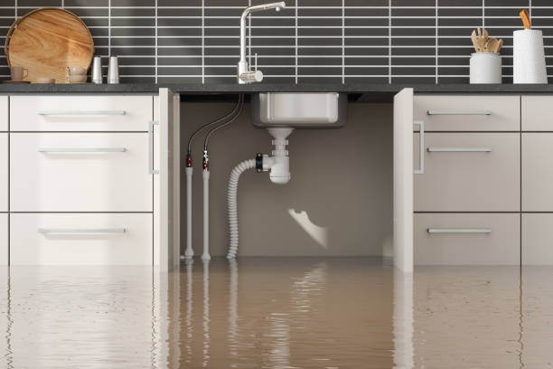 Best Sewage cleanup and water damage restoration  in Federal Heights, CO