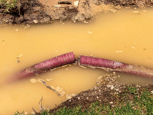 Best Professional water damage repair  in Federal Heights, CO